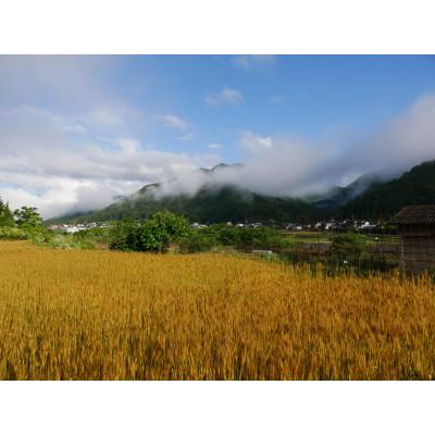 ふるさと納税 養父市 挽きたて小麦のパンケーキ・ガレットミックス |  | 03