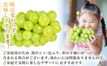 【先行予約】＜シャインマスカット 家庭用 約2kg＞ 果物 くだもの フルーツ ぶどう 葡萄 ブドウ シャインマスカット しゃいんますかっと 3～5房 2キロ ご家庭用 種なし 甘い 皮ごと 特産品 