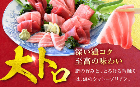 天然 本まぐろ大トロ＆赤身 各1柵（計約450g）【横須賀商工会議所 おもてなしギフト事務局（本まぐろ直売所 横須賀本店）】[AKAK112]