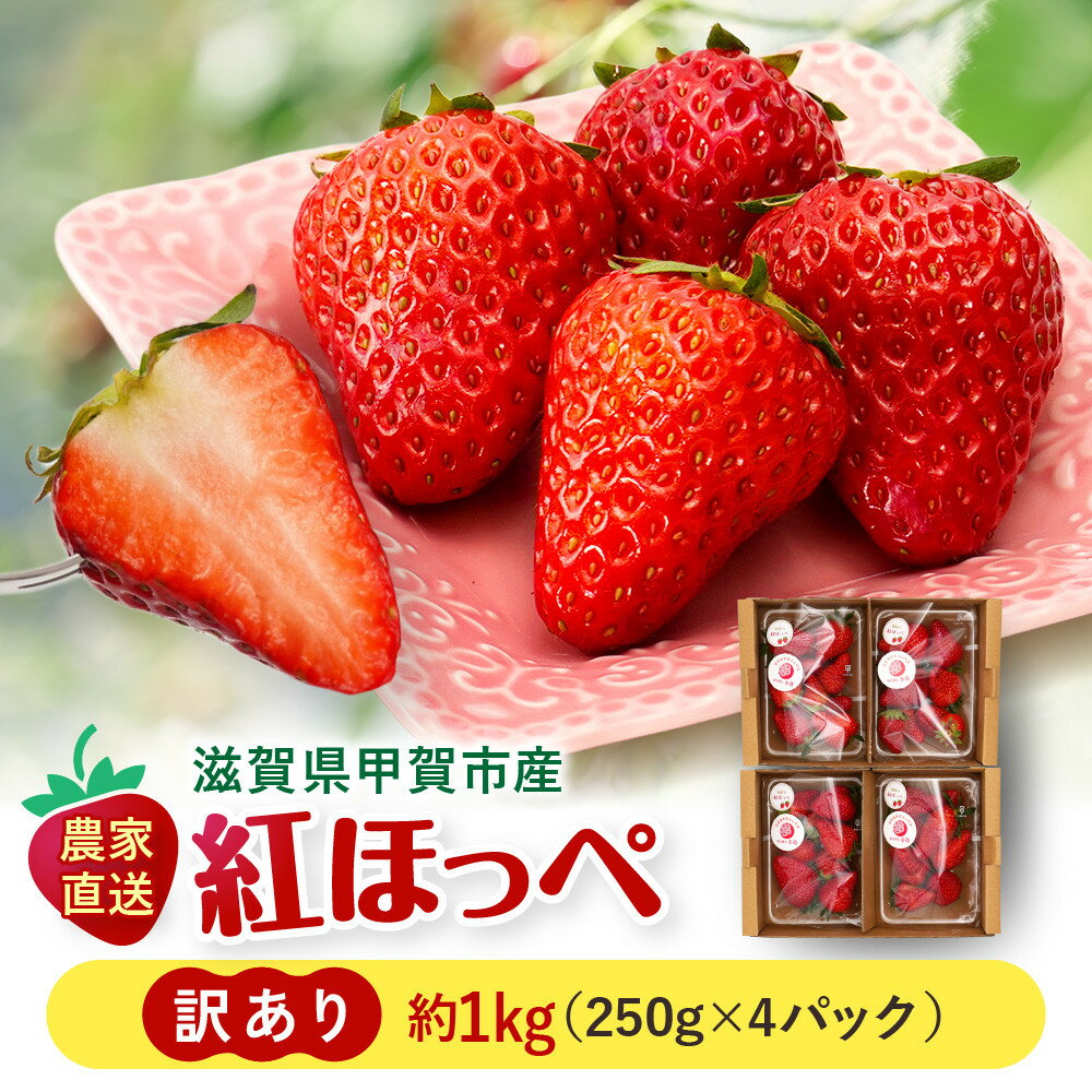 【ふるさと納税】いちご　紅ほっぺ　訳アリ1kg（250g×4パック） | 甲賀市 苺 イチゴ いちご 紅ほっぺ 果物 スイーツ 人気 おすすめ 送料無料