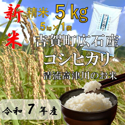 【ふるさと納税】令和6年産　吉賀町広石産コシヒカリ　清流高津川のお米　精米5kg【1596753】