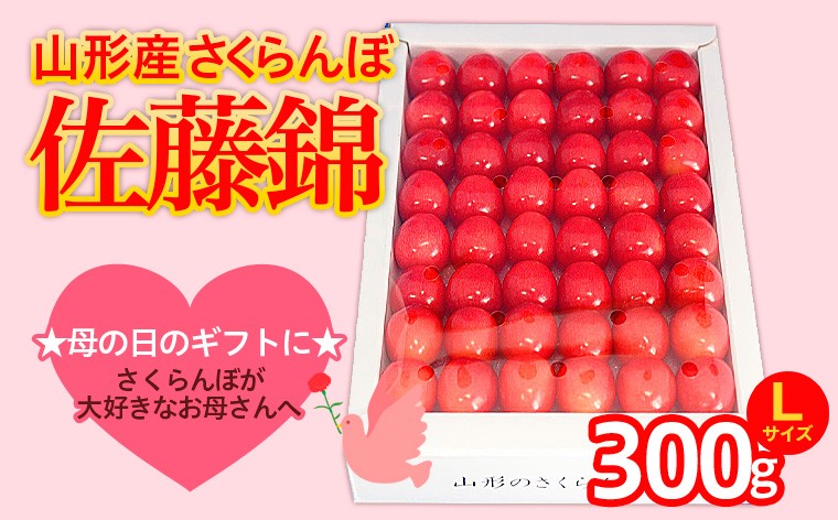 
                  ★5月まるごと母の日★さくらんぼ 佐藤錦 Lサイズ 300g 手詰  (5/15～発送)【令和9年産先行予約】FS26-603
                
