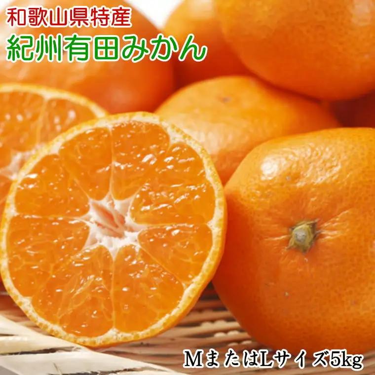 [秀品]和歌山有田みかん約5kg(MまたはLサイズ) ［TM98］【2026年11月中旬～2027年1月中旬ごろ順次発送】【TM92030-tec834B】