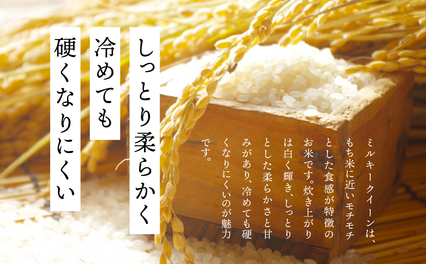 《2025年11月上旬以降順次発送》二本松市産ミルキークイーン5kg【株式会社あだたら米】