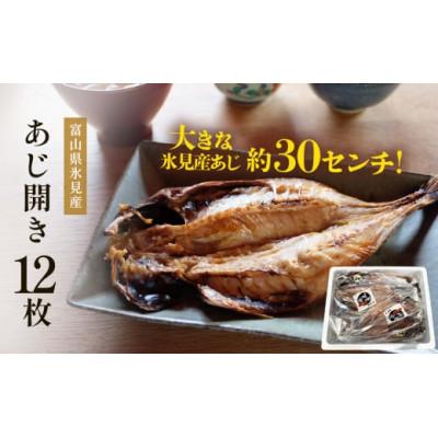 ふるさと納税 氷見市 氷見産あじ開き 12枚 約30センチ!富山湾海の幸 (冷凍)
