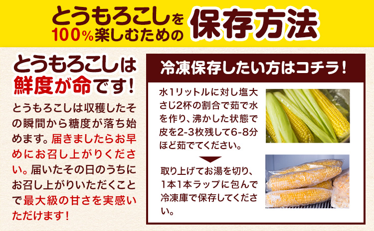 令和6年産 北海道名寄産ホワイトコーン＆スイートコーンイエロー食べ比べセット L～2Lサイズ各5本計10本《8月中旬-9月中旬頃出荷》NPO法人なよろ観光まちづくり協会 とうもろこし 食べ比べ 旬 新