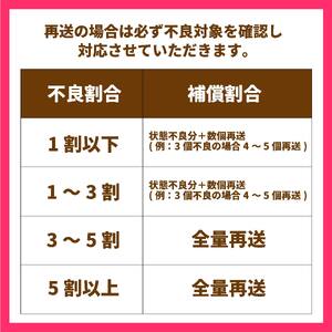 愛果28号 5kg あいか 秀品 愛果 みかん 柑橘 蜜柑 フルーツ 先行予約 松山市 愛媛県 数量限定 【 2024年 11月 12月発送 】【OS0022】