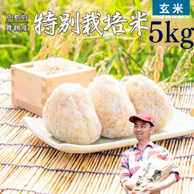 ふるさと納税 舞鶴市 令和8年産 棚田米 玄米 5kg 特別栽培米 7割削減
