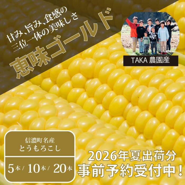 【ふるさと納税】『TAKA農園の恵味（めぐみ）ゴールド』2Lサイズ（1本450g相当）5本セット / 10本セット / 20本セット2026年夏の予約受付開始！ ｜長野県信濃町名産とうもろこし／スイートコーンの人気品種を予約受付中！ 令和8年7月下旬～8月下旬に出荷予定