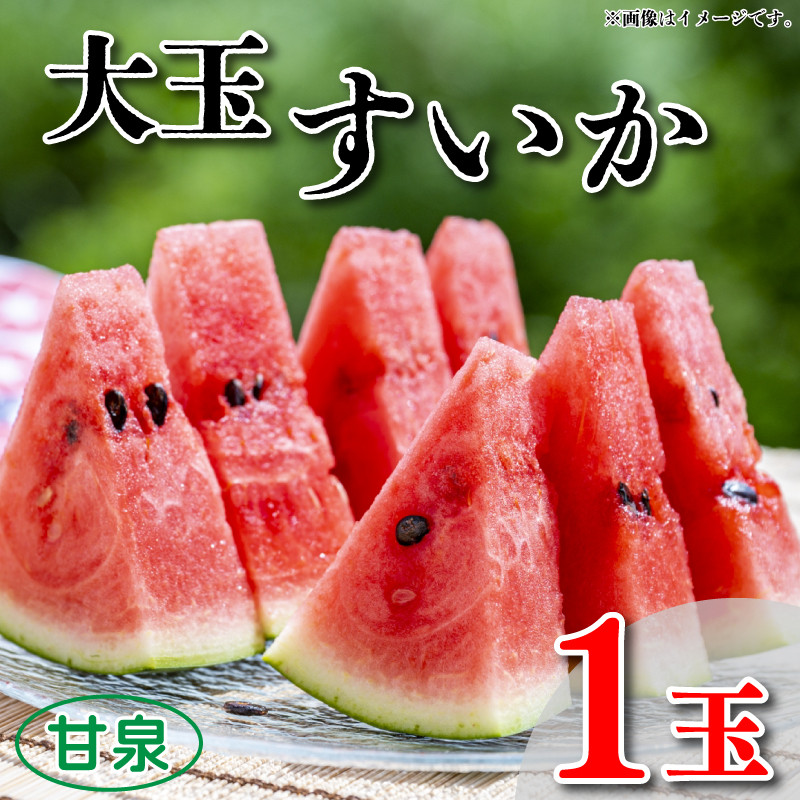 
【 先行予約 】 すいか 大玉 1玉 約 5～7kg 果物 フルーツ 西瓜 産地直送 甘い 夏 甘泉 阿波市 徳島県
