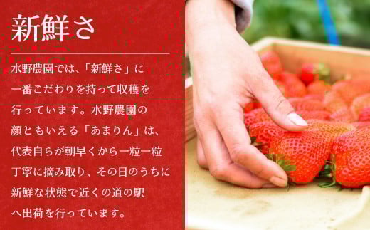 甘味が強く、ジューシーな食感が特徴です！