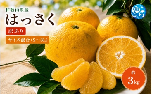 
                  和歌山由良町産 はっさく 約3kg サイズ混合 【訳あり ご家庭用 キズあり】【SL39】※2027年2月下旬～4月中旬に順次発送【sml022-c-3】
                