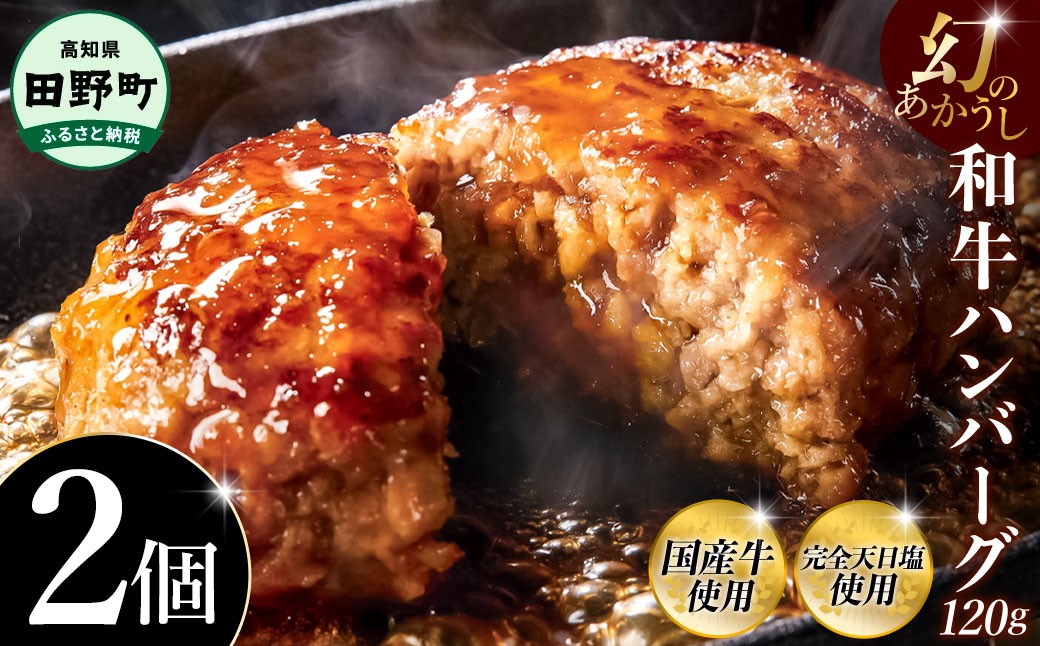 
                  幻のあかうし和牛ハンバーグ 2個入り 1個120g 田野屋青蜂 白鯆 完全天日塩練り込み 肉 お肉 国産牛 土佐あかうし 四万十ポーク おかず 惣菜 おいしい お取り寄せ 冷凍 配送 高知県 田野町 おすすめ 人気 ランキング ふるさと納税 ふるさとチョイス
                