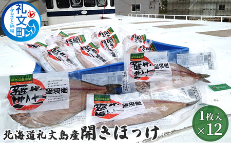 ほっけ 礼文島産 開きほっけ 干物 肉厚 ほっけ【1枚×12袋】