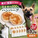 【ふるさと納税】【全12回定期便】ペットフード 鶏むね 100%ハンバーグ 10個セット ペット 愛犬 愛猫 おやつ ご褒美 ごはん 猫 犬 てづくり 国産 ドッグフード 【ペットフードYM japan】[AKEX009]