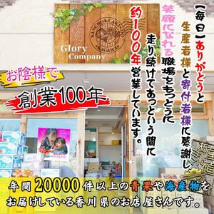 《2025年発送》香川産のもぎたて瀬戸ジャイアンツ2kg【ご家庭用】