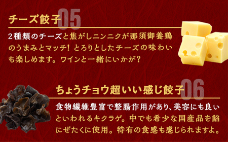宇都宮餃子 運気アップ餃子 ニンニクマシマシ スタミナ餃子 18個 保存料不使用【冷凍餃子 ぎょうざ ギョウザ 冷凍食品 惣菜 栃木県 宇都宮市 】※配送不可地域：離島