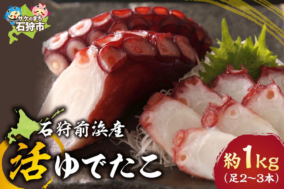 
            石狩前浜産 活ゆでたこ（約1kg(足2～3本)）｜ふるさと納税 北海道 石狩市 ミズダコ ミズタコ たこ 蛸 茹で ボイル済み 加熱済み 水産加工品
          