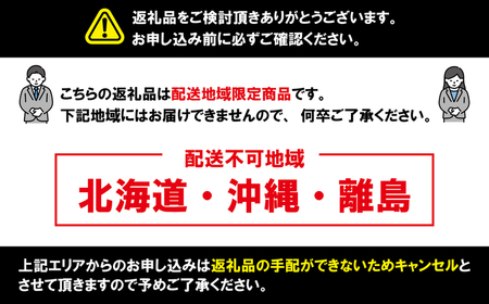 アムスメロン 4玉 メロン