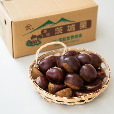 ふるさと納税 かすみがうら市 茨城県かすみがうら市産　熟成倉方栗(生栗)約2kg〈2026年11月中旬より順次発送予定〉