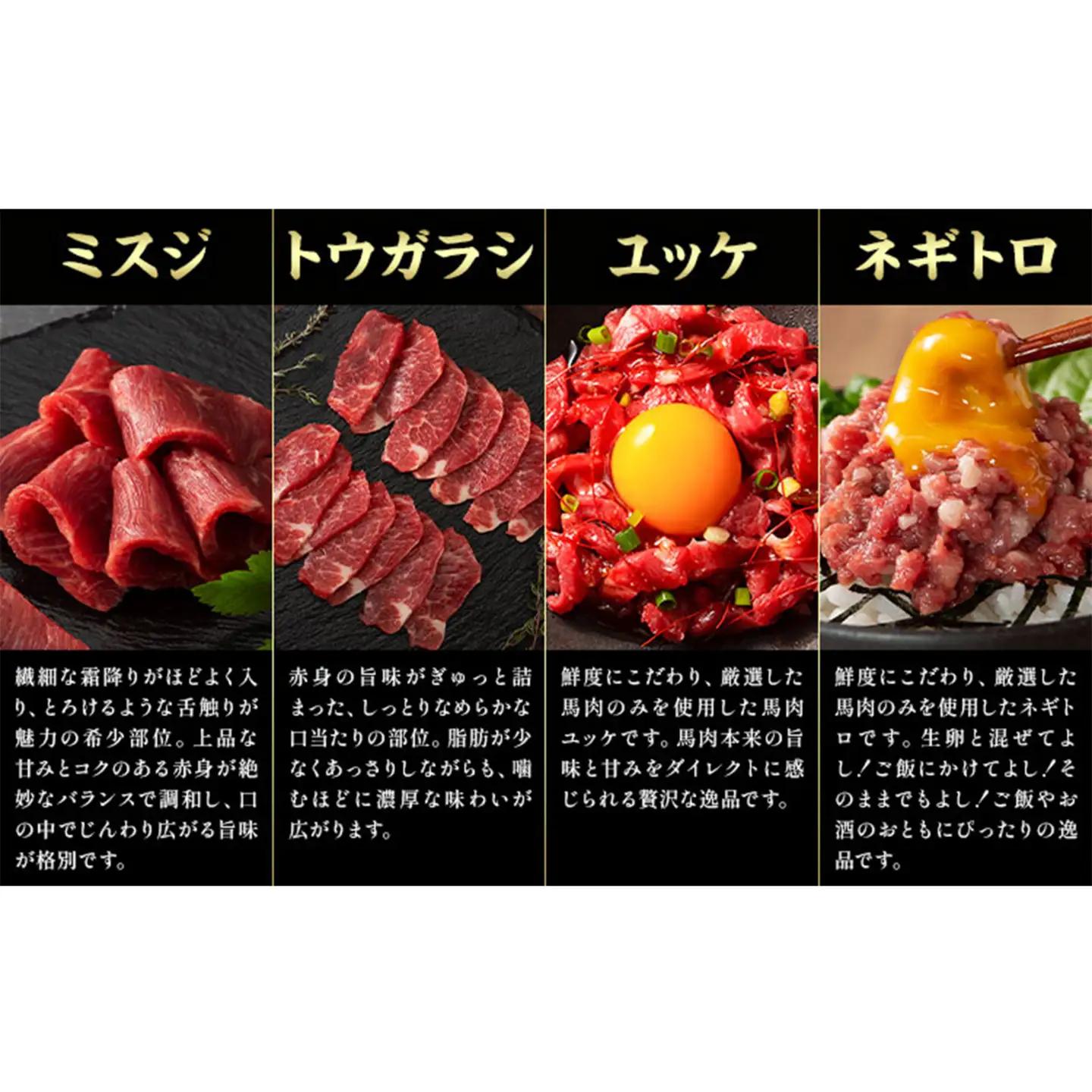 馬肉 フジチクオリジナル 希少部位 と 贅沢な ふじ馬刺し 厳選 セット 亀井通産株式会社《30日以内に出荷予定(土日祝除く)》 熊本県 菊池市 肉 馬肉 メン 大トロ 中トロ ヒレ シャトーブリアン