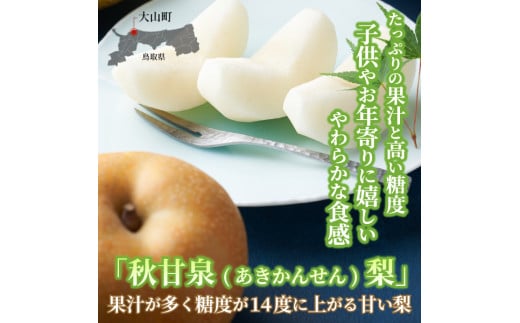 【先行予約】DS-04　秋甘泉梨（あきかんせんなし）（５ｋｇ）