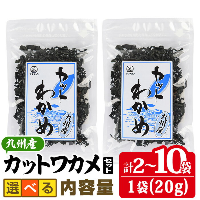 【ふるさと納税】 ＜内容量が選べる＞九州産 カットわかめ (計2袋～10袋・1袋20g入) 海藻 わかめ 味噌汁 みそ汁 サラダ 酢の物 スープ 国産 九州産 常温 大分県 佐伯市【CW12・CW30・CW32】【山忠】