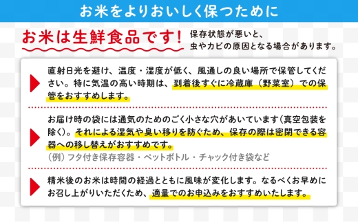令和8年産秋田県産あきたこまち(白米)10kg / 米 白米 10kg 令和8年産 秋田県産 あきたこまち 5kg×2袋 おにぎり 大館 東北 秋田 小分け こわけ 大館市 10キロ 10ｷﾛ 10き