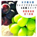 【ふるさと納税】＜先行予約受付中！＞シャインマスカット＆スイーツ食べ放題チケット(大人1名様分)フルーツ 果物 くだもの 葡萄 ぶどう スウィーツ おやつ デザート【110800500】【米沢観光園】