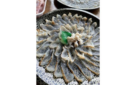 ふぐ 刺身 炙り セット 桜ふぐ 豪華2枚 セット (2～3人前)
