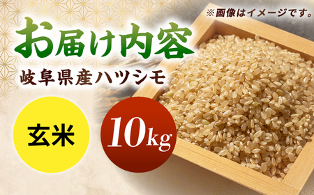 令和7年産 ハツシモ 玄米 10kg 腸活 ヘルシー 米 ブランド米 岐阜市 / 川瀬ファーム[ANIB004]