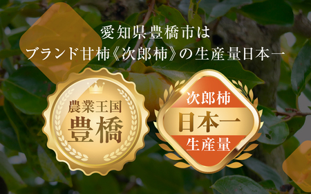 ≪先行予約≫ 生産量日本一 豊橋石巻産 次郎柿 ご自宅用 10kg 柿 訳あり 不揃い (30～50玉) 甘柿 果物  10月 11月 愛知県 豊橋市