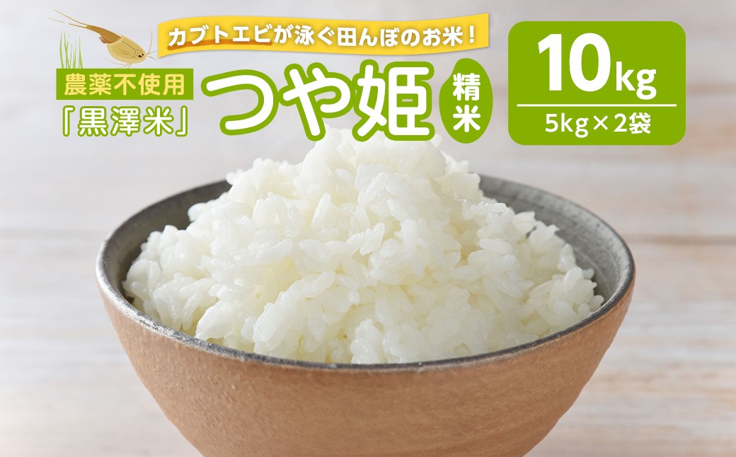 
                  農薬不使用 つや姫 精米 10kg ＜カブトエビ田んぼで育てたお米＞ 黒澤米 宮城県登米市産 お米 おこめ 米 コメ 白米 ご飯 ごはん おにぎり お弁当 【株式会社天体】tm449
                