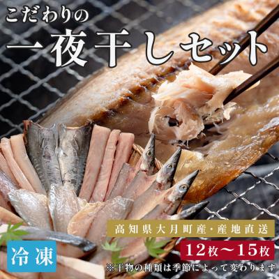 ふるさと納税 大月町 一夜干しセット 12枚〜15枚 天日塩 無添加 干物 詰め合わせ 冷凍便  海鮮セット 焼くだけ簡単