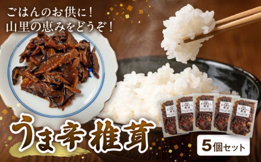 山里の恵み！うま辛椎茸５個セット　T05804