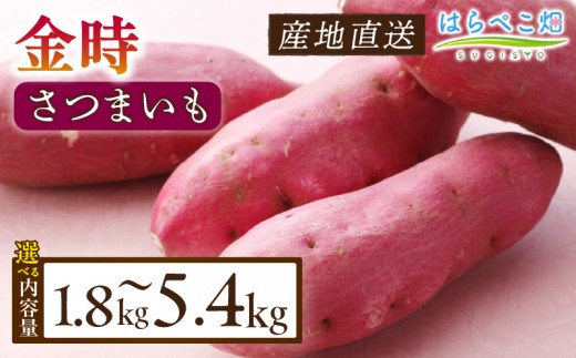 
                  《選べる容量》【ホックホク食感の優しい甘み】さつまいも金時 1.8kg・H060-SKU
                