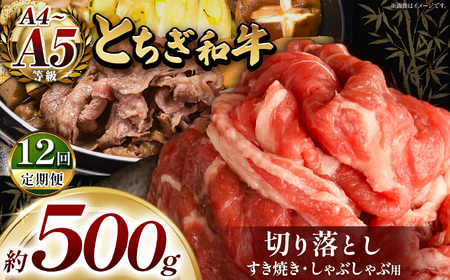 【定期便12回】最高位賞を受賞！最高級ブランドの柔らかく風味豊かなとちぎ和牛切り落とし 500g（すき焼き・しゃぶしゃぶ用） | 霜降り 和牛 切り落とし とろける 品質 柔らかく 銘柄牛 安心 安全 美味しい おいしい 芸術品 特産品 ふるさと 納税 栃木県共通返礼品 栃木県 那珂川町 送料無料