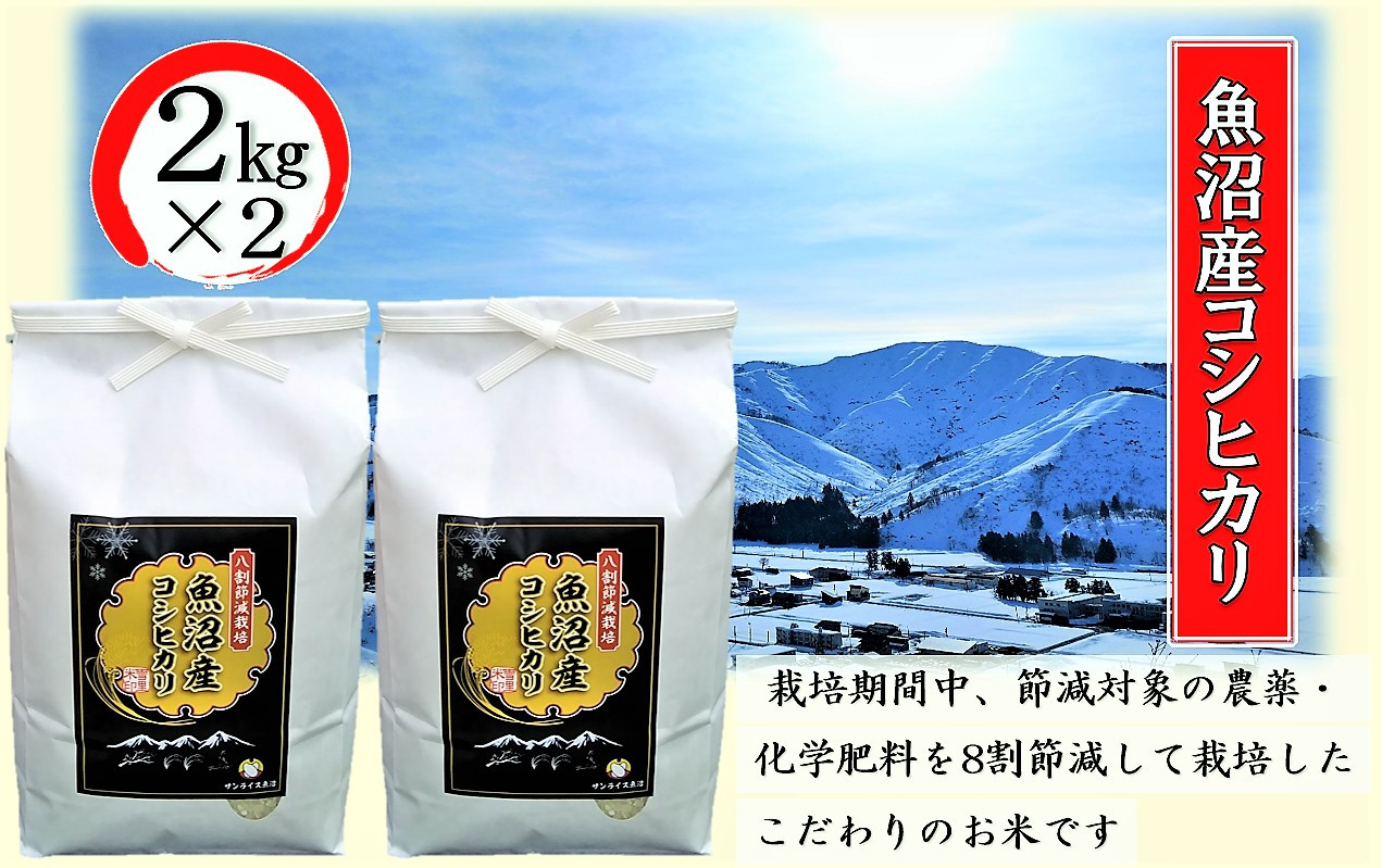 
[№5762-0826]令和6年産 安心・おいしい！【8割節減栽培】魚沼産コシヒカリ 精米 4kg（2kg×2）
