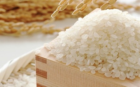 【令和7年産】果物屋さんが選んだ米 元気つくし 10kg [BGAG025]げんきつくし