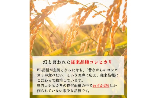 令和8年産 新潟県上越産 特別栽培米 コシヒカリ 20kg 20キロ（5kg×4） 【白米】 従来品種 こしひかり 新米 おおた農場 上越市