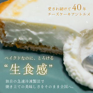 チーズケーキアントルメ 6号[18cm] 6～8人分 / 丸安田中屋 チーズケーキ 菓子 洋菓子 信州 長野県 諏訪市 諏訪 [18-02]