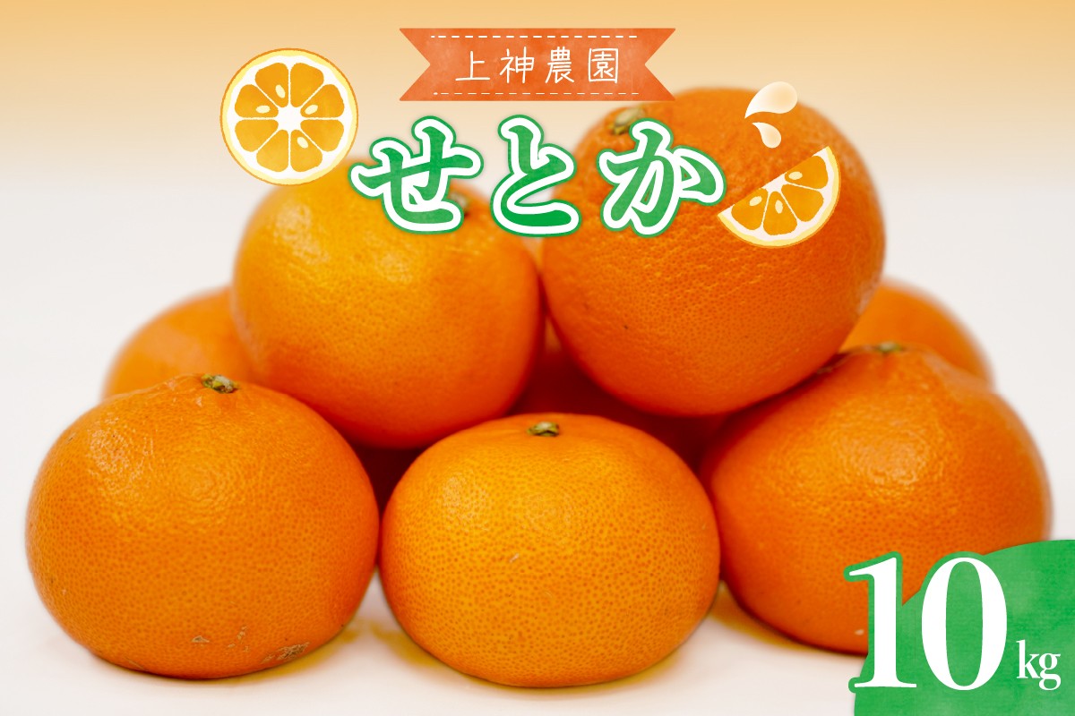 
                  【先行受付】 【2027年2月初旬～発送】 上神農園の広島県産 せとか 約10kg みかん オレンジ ジューシー 上神農園 広島県 呉市 広島 呉 ku011-010-26
                