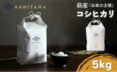 コシヒカリ 令和8年 5kg 米 コメ こめ 萩産 KAMITAMA 5kg