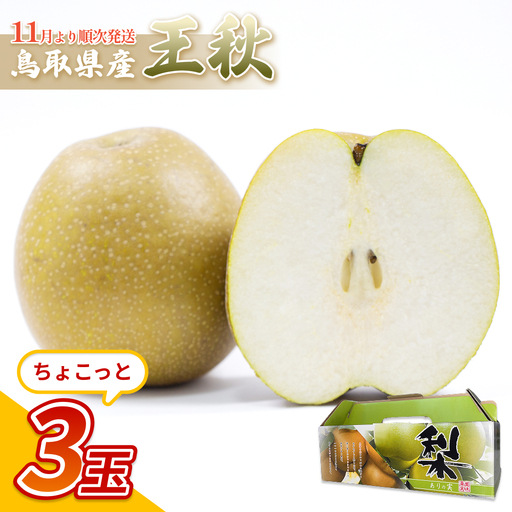 中野農園 梨 ”王秋梨” 3玉入り｜鳥取 岩美 梨 なし ナシ※お届けは2026年11月以降【41015】
