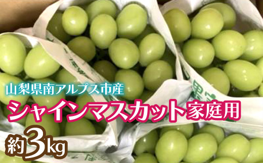 ＜2026年発送先行予約＞シャインマスカット (新鮮直送・家庭用3kg)  ALPCZ015