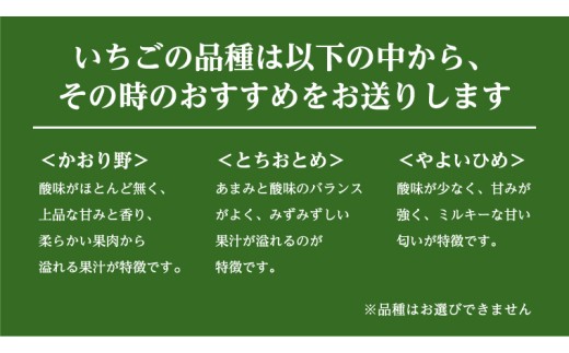 【12/10までの申込で年内にお届け！】 完熟いちご 約260g×2パック 品種おまかせ 年内お届け 国産 いちご イチゴ 苺 [BC089sa]
