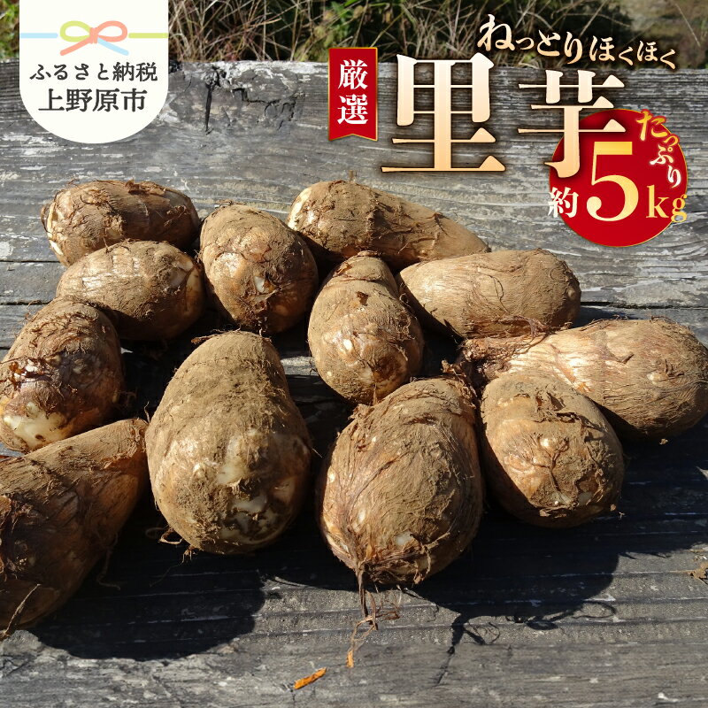 【ふるさと納税】 ◆先行予約◆ ＼山梨県産！数量限定／ 里芋 孫芋 5kg ねっとり やわらか 厳選 期間限定 野菜 化学肥料不使用 農薬不使用 農園直送 2025年度収穫 ギフト プレゼント お取り寄せ 贈り物 贈答 送料無料 上野原市