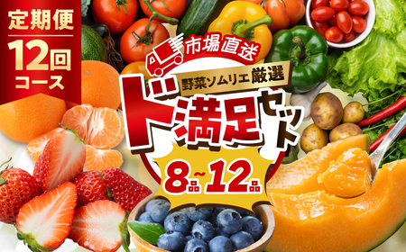 【定期便】旬の野菜・フルーツ詰め合わせ 8品～12品  野菜 果物 フルーツ 定期便 野菜