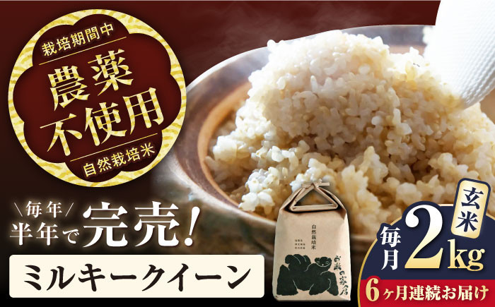 
            【先行予約/令和7年産新米】【全6回定期便】ミルキークイーン 2kg 玄米 自然栽培米  滋賀県長浜市/株式会社お米の家倉 [AQCP009] 米 定期便 玄米  2kg ミルキークイーン 自然栽培米  滋賀県産 長浜市産 こめ 玄米 白米 精米 お米 新米 食品 ふるさと納税 国産 炊きたて 米ギフト もちもち ブランド米  食卓 美味しい 産地直送 節約 人気
          