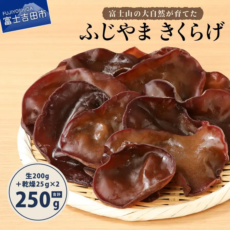 ふじやま きくらげ きのこ 国産 有機JAS オーガニック 